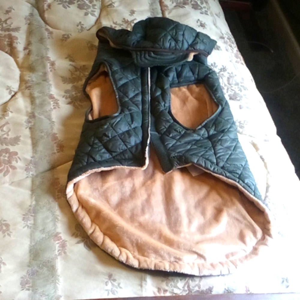 Nautica Pet Quilted Jacket in Green with hood size medium To Largep